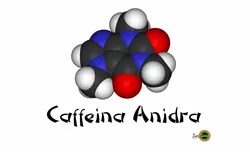 Caffeina anidra